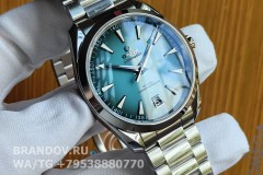 Omega Seamaster Aqua Terra 41 mm