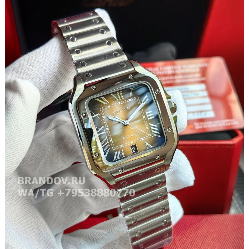 Часы Cartier Santos Large Steel Brown WSSA0064 комплект — общий вид
