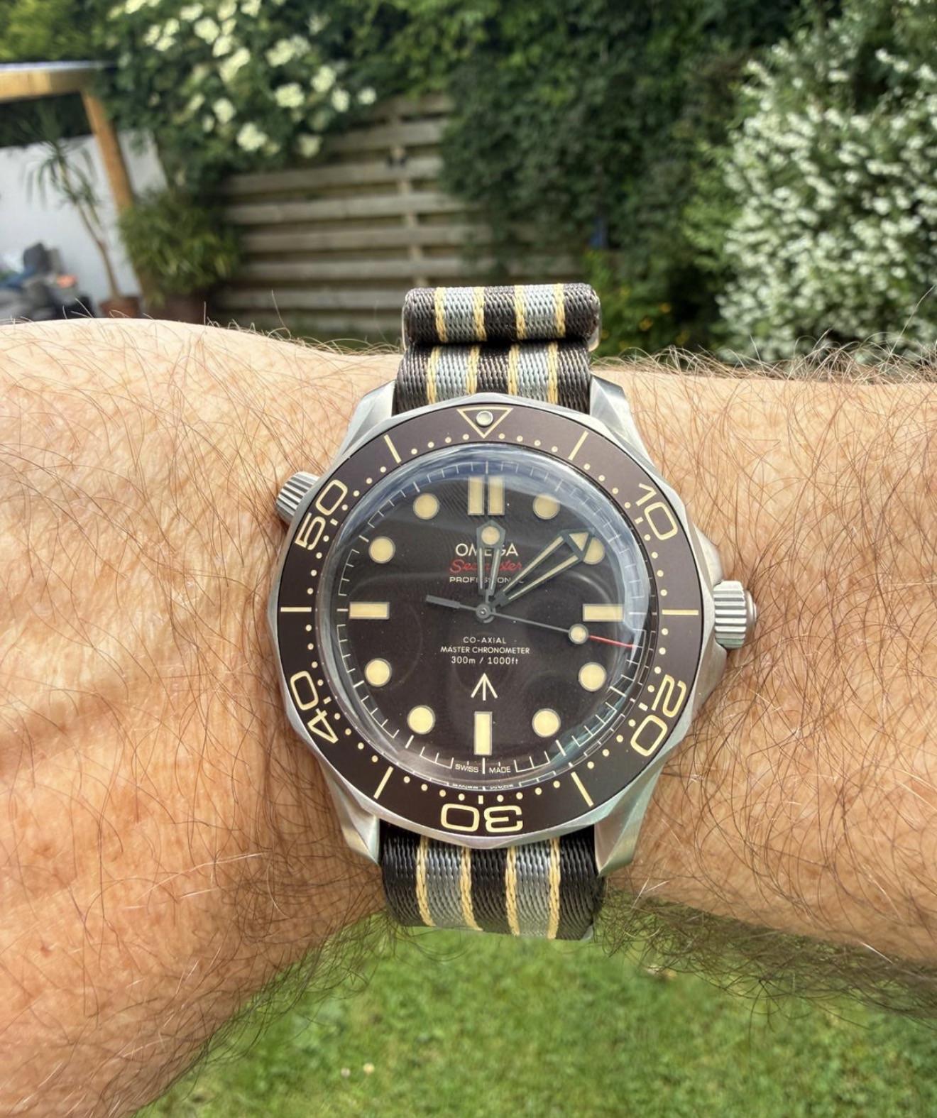 Прямой вид Omega Seamaster NTTD с тёплыми часовыми метками